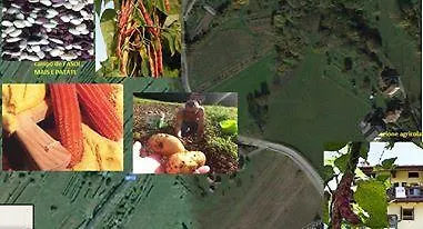 Azione Agricola